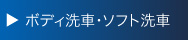 ボディ洗車・ソフト洗車